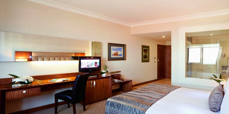 Superior Single Room